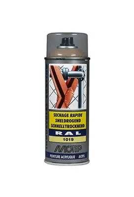 1051656 - IND. RAL 1019 GRIJS-BEIGE SPUITBUS 400 ML