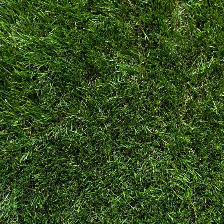 Kunstgras select 71 Poolhoogte 40mm