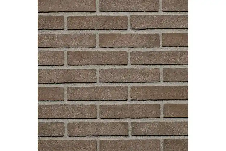 Gevelsteen Bruin Vormbak Waalformaat