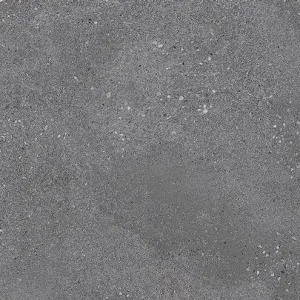 Vloertegel Betonico Antraciet 30×60