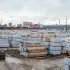 EPDM