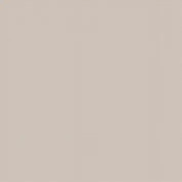 CATCH gordijn Magnet 212056 beige