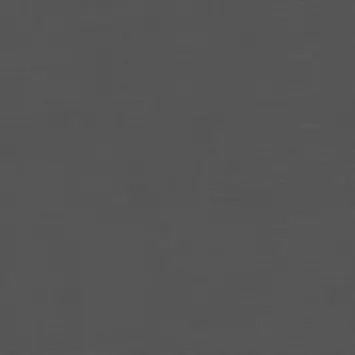 CATCH gordijn Avallon 224377 black