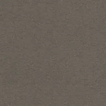 CATCH gordijn Vittel 223059 grey