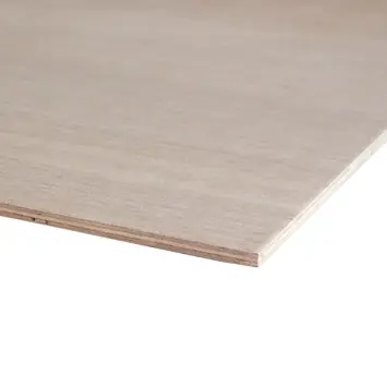 Multiplex plaat hardhout exterieur 244 x 122 cm 9 mm verlijmd