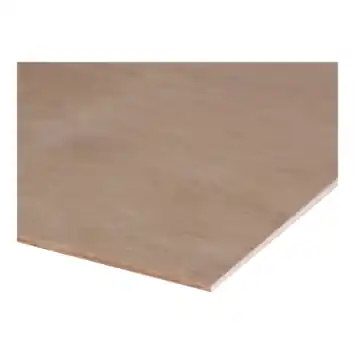 Multiplex plaat hardhout exterieur 122 x 61 cm 3,6 mm verlijmd