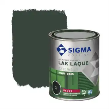 Sigma Exterieur buitenlak hoogglans RAL 6009 dennengroen 750 ml