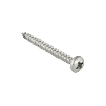KARWEI unischroef cilinderkop rvs 4x30 mm (10 stuks)