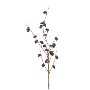 Callicarpa spray paars 97cm
