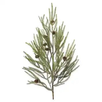 Pine branch met cones
