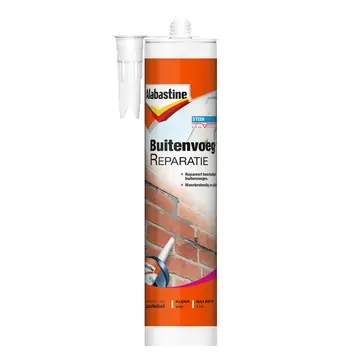 Alabastine buitenvoegreparatie 330 g