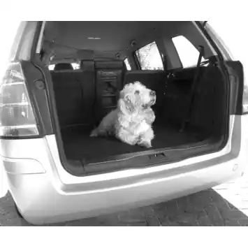 Carpoint Hondennet