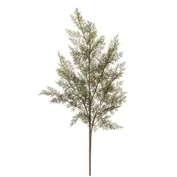 Cedar spray groen 80cm