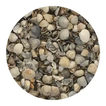 Stonewish Schelpen 8-16 mm - big bag 600 kg