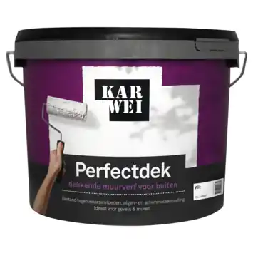KARWEI Perfectdek muur en gevel mat buiten wit 10 liter