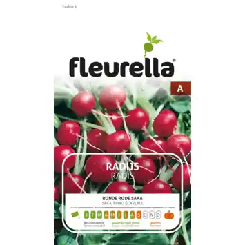 Fleurella zaden radijs Saxa