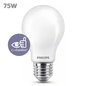 Philips LED peer E27 75W mat niet dimbaar
