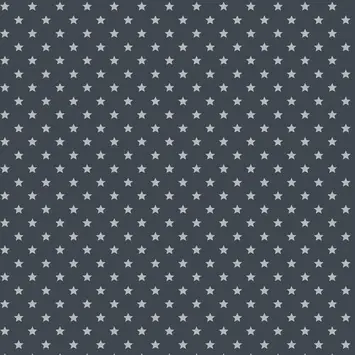 Decoratiefolie Stars grey (346-0653) 45x200 cm