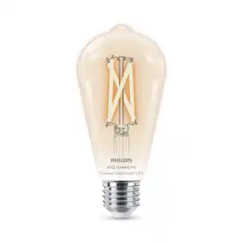 Philips smart LED edison filament E27 60W