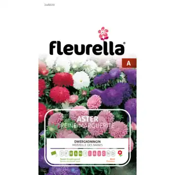 Fleurella zaden aster
