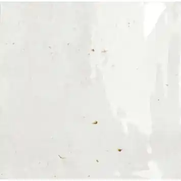 Wandtegel Fermo glanzend 12,5 cm x 12,5 cm keramiek wit 0,587 m²