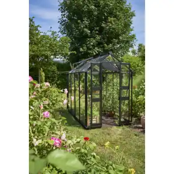Tuinkas Halls Birdlip 48 zwart gecoat met 3mm veiliheidsglas